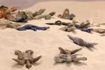 以陶瓷海龟为语 为守护自然发声