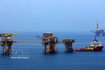越苏石油联营公司在白虎油田的钻井平台。图自越通社