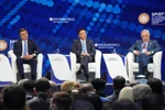 越南积极参与第28届圣彼得堡国际经济论坛