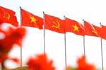 越共十四大文件草案意见征询：坚定纪纲 激发建设繁荣富强国家的渴望