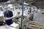丰田合成海防有限公司生产与制造活动。图自越通社