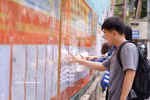 岘港技术教育大学的大学生们正在研究学校张贴的候选人名单。图自越通社