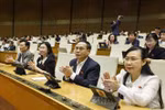 越南第十五届国会第十次会议通过了《国际金融中心专门法院法》。图自越通社