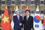越共中央总书记苏林会见韩国国会议长禹元植。图自越通社