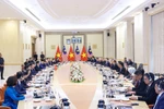 越马两国总理举行会谈 双方达成多项共识