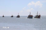 解除IUU“黄牌”警告：乂安省加强渔船进出港综合监管