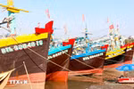 解除IUU“黄牌”警告：林同省严控渔船出港条件
