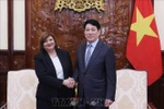 越南国家主席梁强接受埃及大使辞行拜会。图自越通社