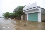 乂安省演州乡住宅区被严重淹没。图自越通社