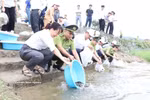 在海防市昆山—劫泊世界遗产区的昆山湖边，代表们在集会结束后放鱼，丰富水资源。图自越通社