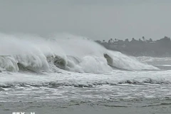 热带低压快速移动 预计11月25日晚进入东海