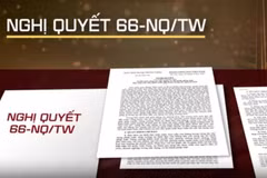 推动第66号决议在实践中落地见效