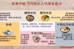 新春伊始 河内街头人气美食盘点