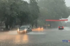 第3号台风登 越南北部与北中部地区持续出现强降雨