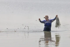 游客和当地居民下田涉水、撒网捕鱼，体验涨水期文化节特有的生活方式。图自 越通社