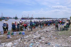 交海鱼市每天定期在海边举行两场集市，方便渔民买卖和运输海鲜。图自 越通社