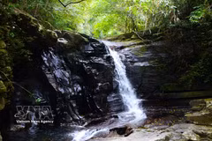 五湖瀑布与溪流掩映于青山密林之间，刚柔相济，构成一幅壮美的自然画卷。图自 越通社