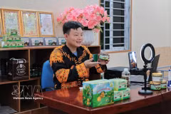 越南瑶族青年依托山区特产闯出致富路