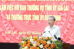 越共中央总书记苏林：合并后的嘉莱省不仅规模更大，更要增强竞争力