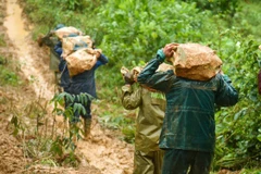  “光忠神速”——源自军人赤诚之心的号令