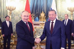 越共中央总书记苏林与俄罗斯联邦总统弗拉基米尔·普京举行小范围会谈