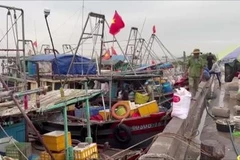 海防市与全国一道努力解除IUU“黄牌”警告