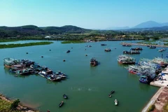 解除IUU“黄牌”警告：广宁省正集中力量实施突破性解决方案