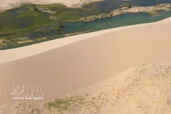 阵阵海风拂过，卷起细沙，塑造出层层起伏、宛如波浪般优美的沙丘线条。图自 越通社