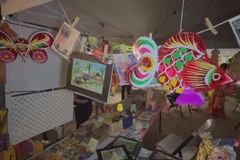 越南中秋节在加拿大渥太华成功举办 弘扬传统文化之美