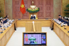 黎明兴总理在亚洲零排放共同体线上峰会上提出三大合作方向