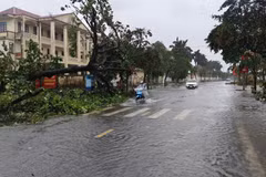 一号台风减弱为热带低压 残余环流继续给越南东北部带来强降雨