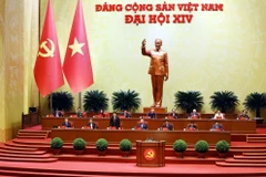 越共第十四次全国代表大会：大会就大会文件进行讨论