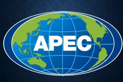 越南积极主动、负责任地参与APEC合作