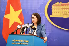 越南外交部更新关于中东地区越南公民的领保信息