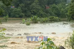 越南莱州省多地遭遇暴雨 山体滑坡和内涝灾情严重