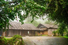 新水湖的地方文化特色得以较完整保留，从传统节日、风俗习惯、服饰、美食、民居建筑，到蜿蜒通向村落的小径上的苔藓石墙，无不展现其原汁原味的文化价值。图自 越通社《Vietnam+》