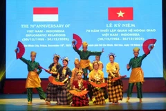 越南—印尼关系：共同点转化为战略力量