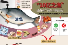 查鱼的独特价值 助力其成为越南出口亮点