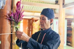 奠边省南棋乡贡族同胞喜迎鸡冠花节