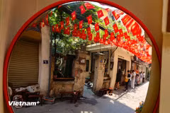 在还剑郡，一条挂满鲜艳红旗的小巷人流如织，格外热闹，吸引了众多年轻人前来打卡留影，记录下这充满纪念意义的南方解放50周年庆典氛围中的美好瞬间。图自 越通社