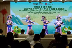 “浓情端午·佳韵飘香”中国文化体验活动架起越中青年友谊桥梁
