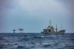 越南南部海域筑牢“民心防线” 守护海洋主权与可持续渔业发展