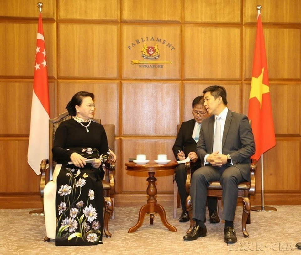 越南国会主席阮氏金银2017年11月28日在新加坡国会总部与新加坡国会议长陈川仁举行会谈。图自越通社
