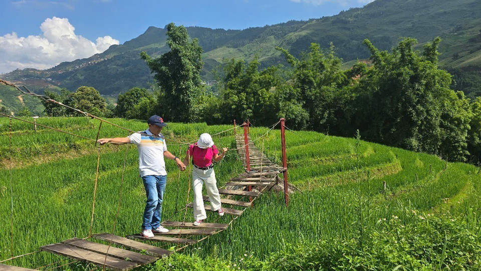 大弯乡翠绿稻季吸引众多游客前来观光体验。图自越通社