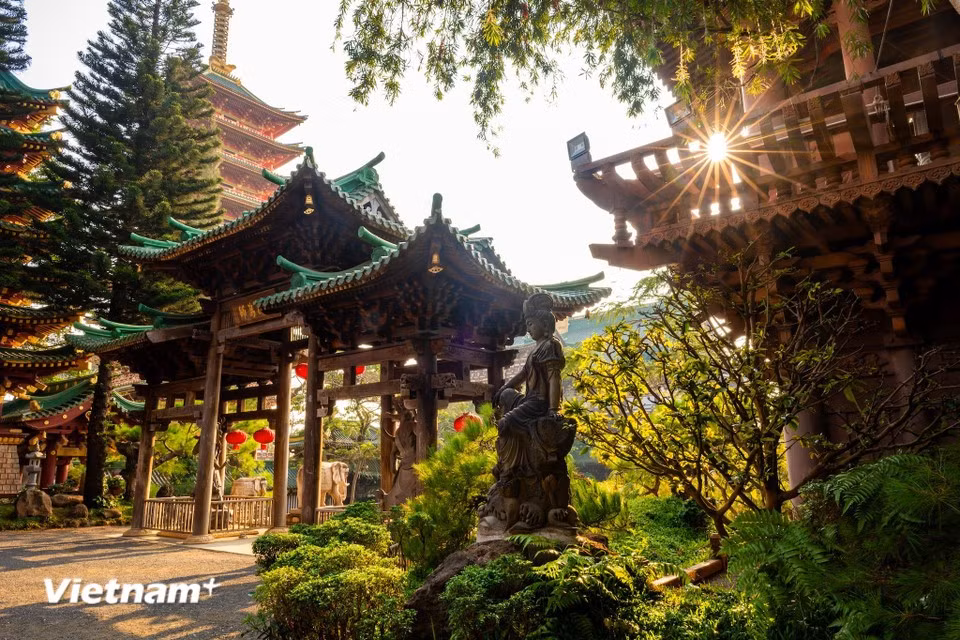 前来参观游览寺庙时，游客可以享受清凉、平和、纯净的空间，以及树木、盆景、池塘和长满苔藓的墙壁。图自越通社