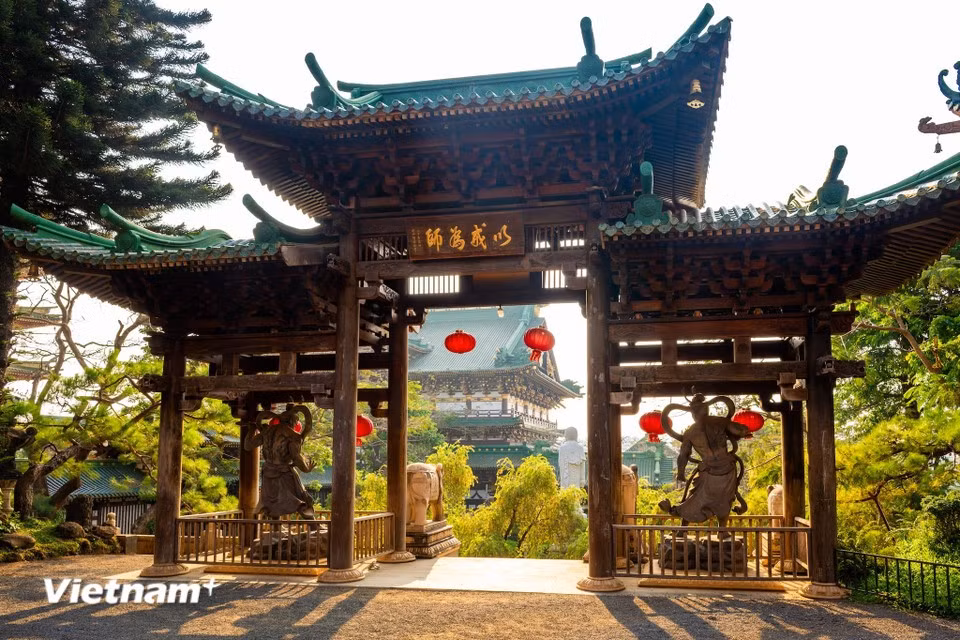 所有这些因素共同造就了一个四方游客在有机会前往波来古或嘉莱旅游时必到的目的地。图自越通社