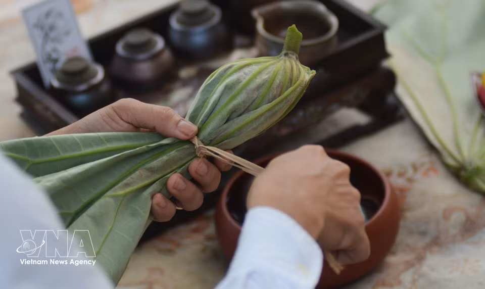 经荷花窨制后包裹在荷叶中并存放于冰箱内的荷茶，可长期保存。图自越通社