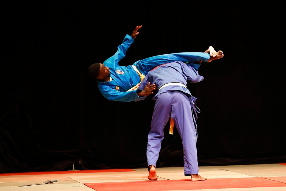 塞内加尔越武道联合会武术学员的表演节目。图自越通社