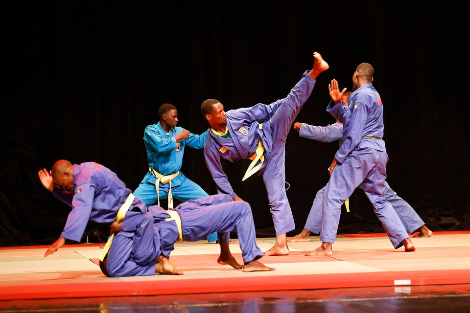 塞内加尔越武道联合会武术学员的表演节目。图自越通社