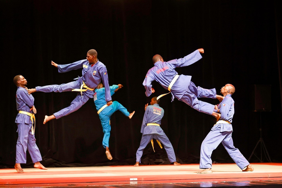 塞内加尔越武道联合会武术学员的表演节目。图自越通社